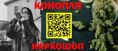 сатива Можга