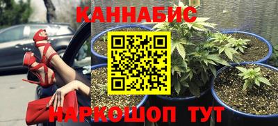 МДПВ Моздок