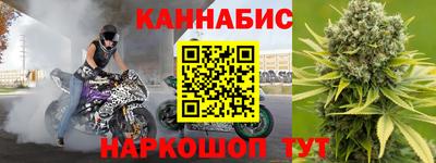 сатива Можга