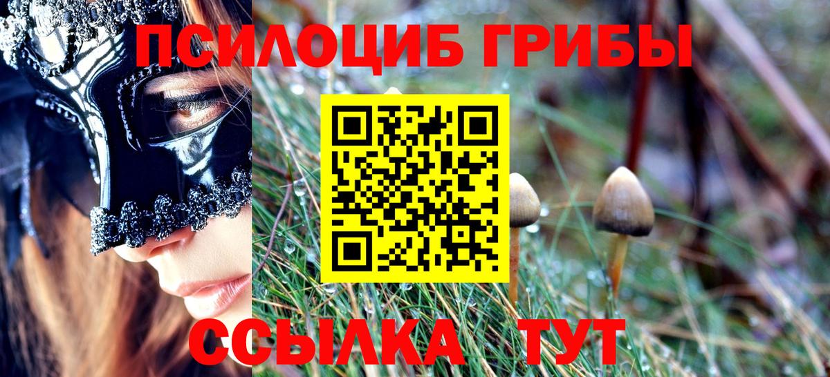 Галлюциногенные грибы MAGIC MUSHROOMS Татарск